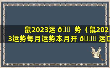 鼠2023运 🐠 势（鼠2023运势每月运势本月开 🐎 运口诀）